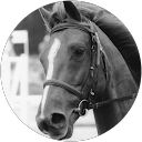 Isa B. profile picture