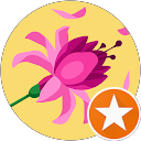 Clotilde MARTIN profile picture